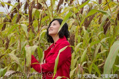 麦家：二十年后重读“红高粱”，是一次冰凉的相遇