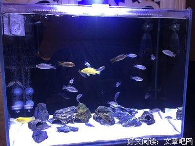 时间能政变一切，唯一不变的是改变。名句欣赏