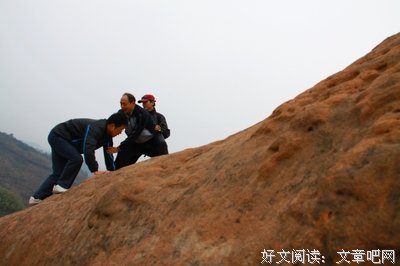 有关刘亮程经典语录