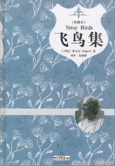 最新的宅小花名言
