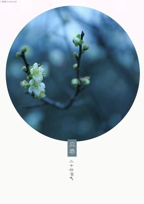 最全的宋浩浩名言大全