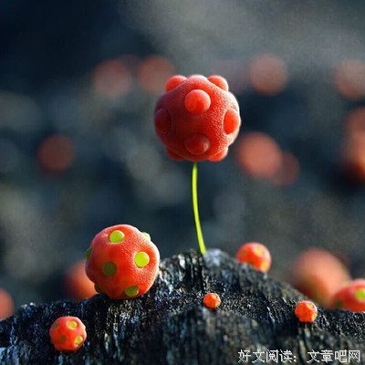 有关廖一梅名言警句