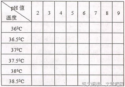 张子选名言