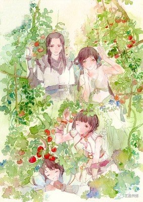 最全的张小娴名言