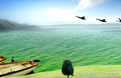 张悦然名言大全