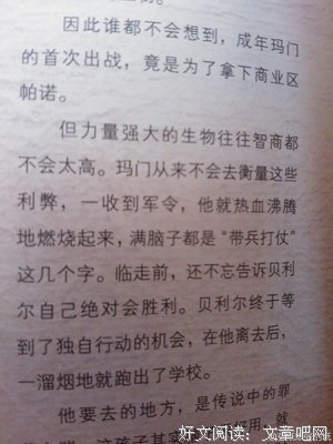 最新的《天神右翼》小说句子大全