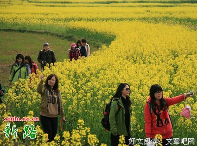 最新的《将女谋略》名句欣赏