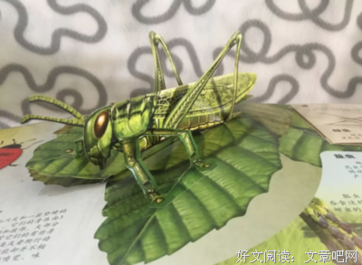 再也找不出比它还要优美的书了
