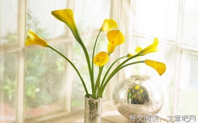 《人生感悟》的句子