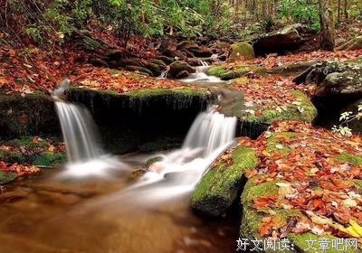 关于地来录的优美句子