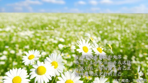 啦啦啦啦经典名句