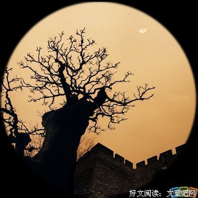思念好词好句