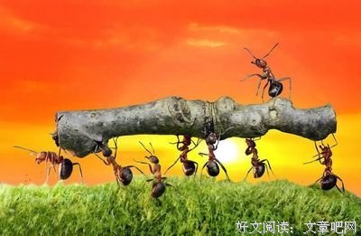 2018曾仕强名言大全
