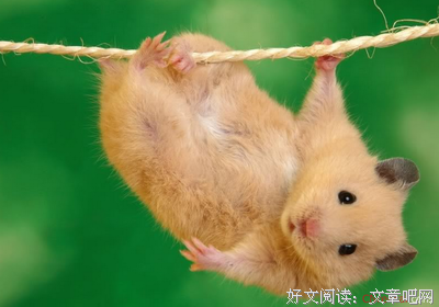 曾轶可精彩语录
