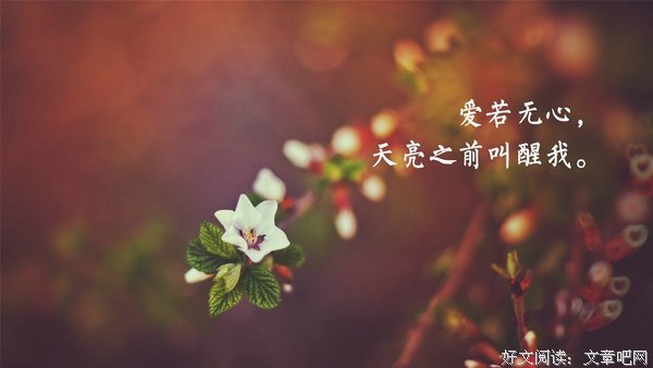 木浮生名言警句