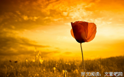 最经典的梁实秋名言