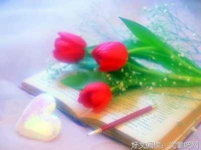 沈从文名言大全