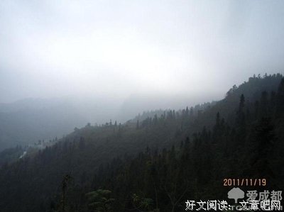 最经典的《异世邪君》经典句子