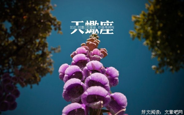 《得未曾有》唯美语录