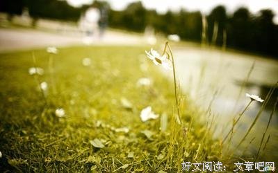 《心灵鸡汤》好段摘抄大全