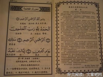 最经典的《斗破苍穹》语录摘抄大全