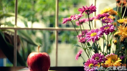 最新的《梦落芳华》小说句子大全