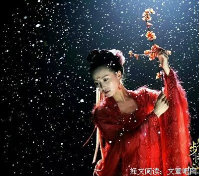 最经典的《步步惊心》语录摘抄