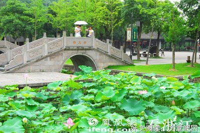 最新的《泡沫之夏》佳句摘抄