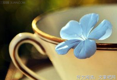 情感停泊的港湾经典名句