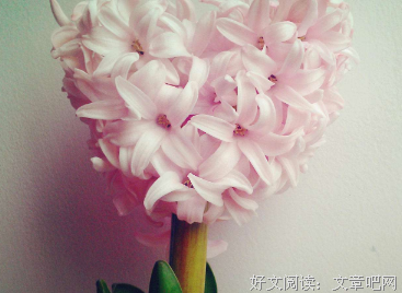 最新的《爱上了你》佳句摘抄
