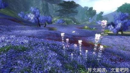 鸡汤的优美句子