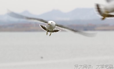 关于司空见惯名言名句