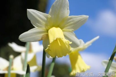 路宽不如心宽