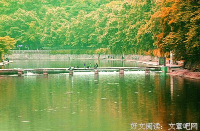 拾忆的句子
