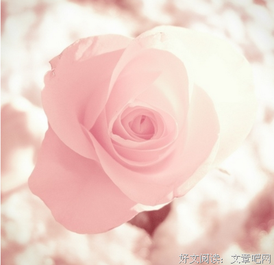 吉句.的句子