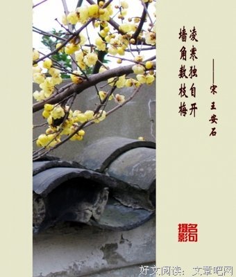 古代诗词