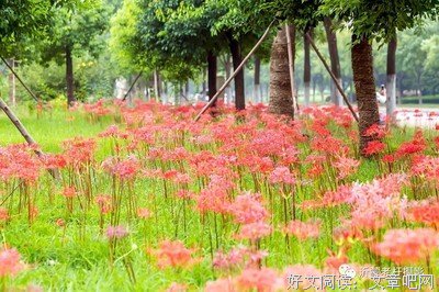 能一这别了了去开们使与恶魔优美的句子