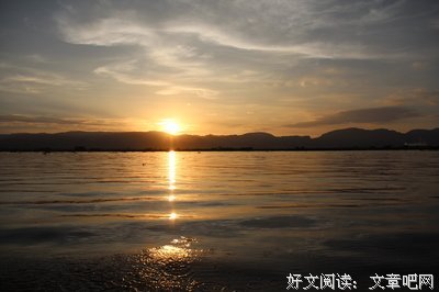 《情不知所起》的句子