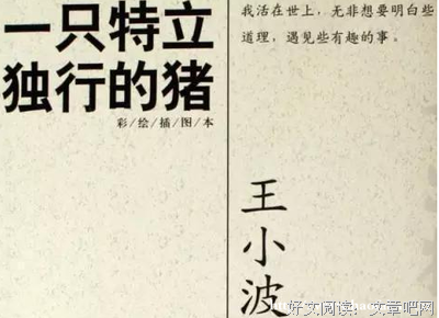 王小波名言