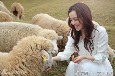 最新的范玮琪的格言