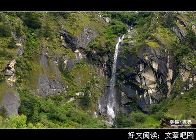 最新的蔡依林名言大全