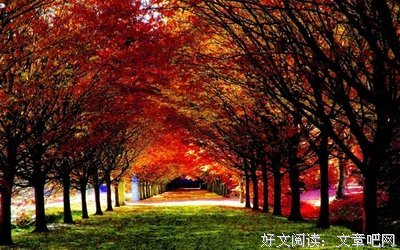 最新的《直到你死》经典语录大全