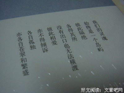 最全的《蔷薇岛屿》美文摘抄