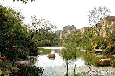 最新的《言中有寺》经典语句
