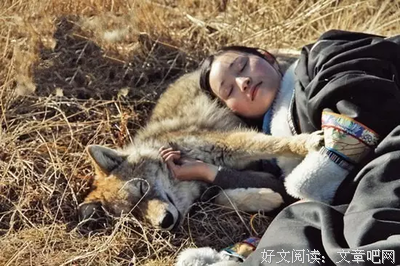 最新的《重返狼群》经典的句子