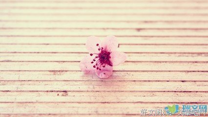 最新的《风沙星辰》小说摘抄