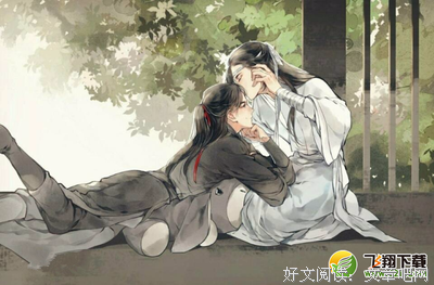 最经典的《魔道祖师》小说书摘