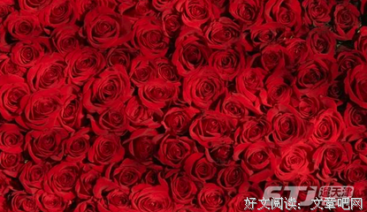 怼人的句子