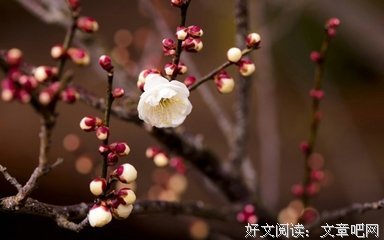 关于心灵(^３^)的句子