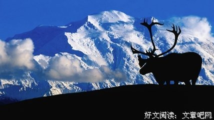 最新的《与孤独为伍》语录摘抄